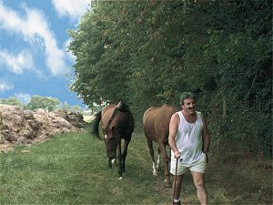 voir l'image plein &eacute;cran